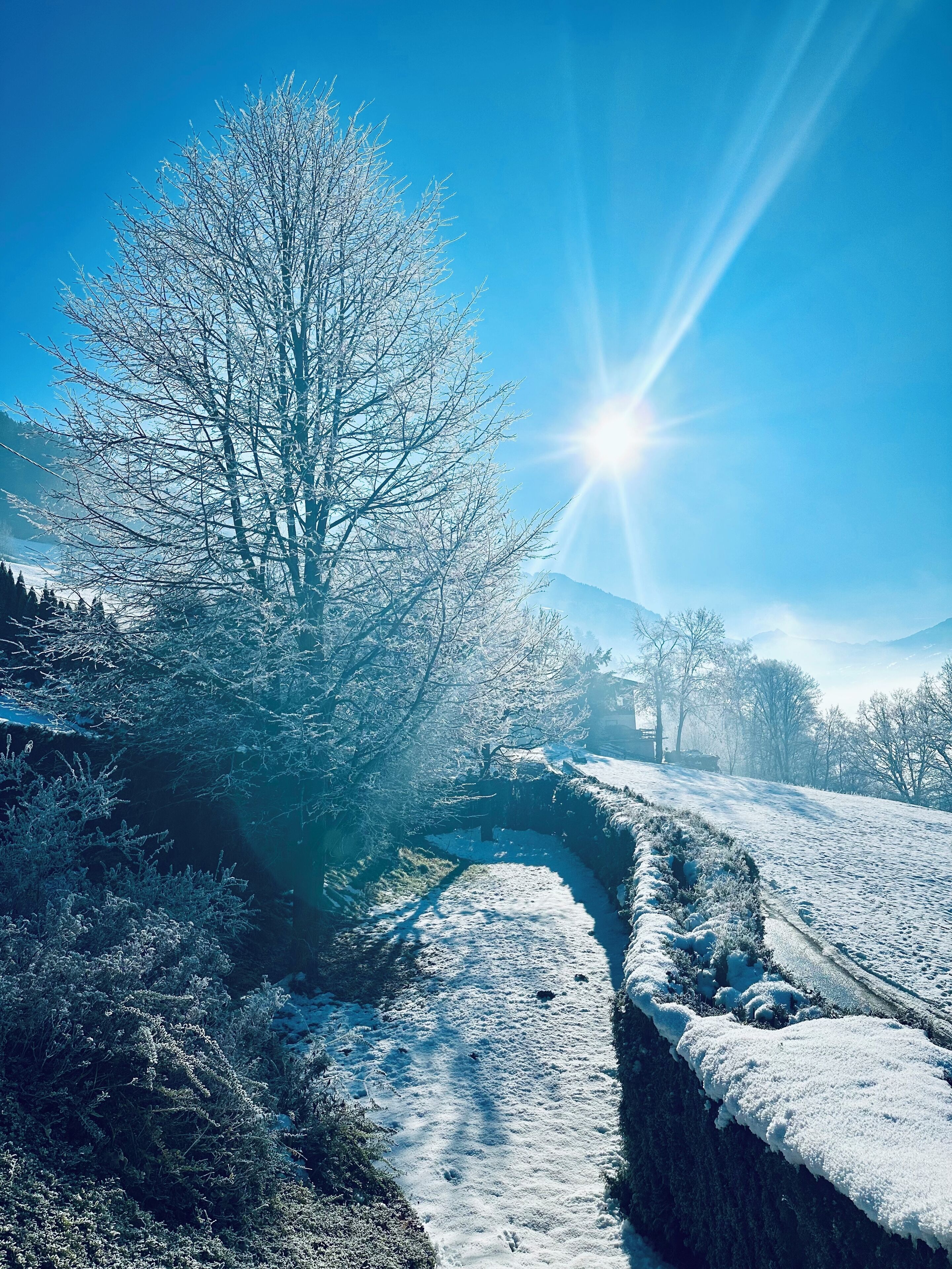 A snow-covered landscape with a clear sky and a bright sun.