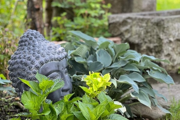 Eine Wohlfühloase - das LITTLE HIDEAWAY zillertal!