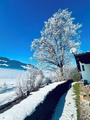 Àrea exterior de l'allotjament