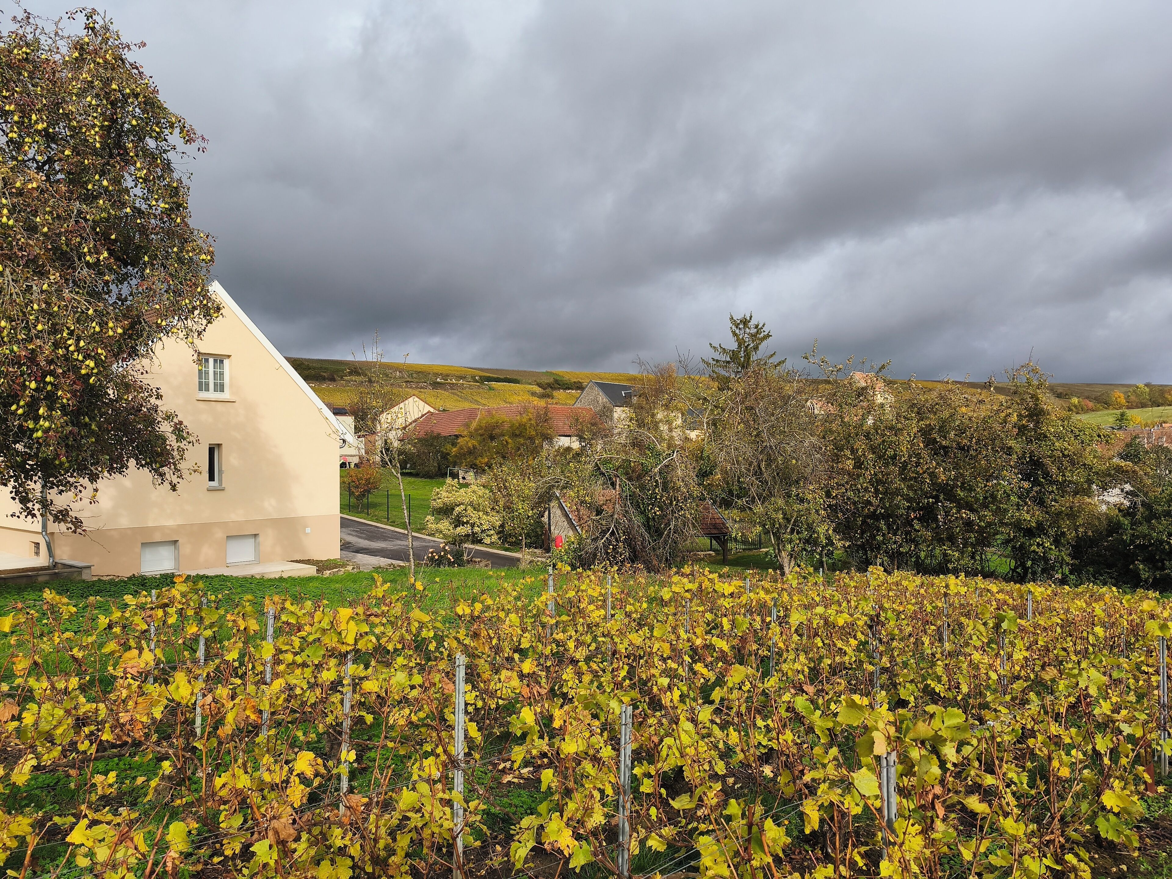 Área da propriedade