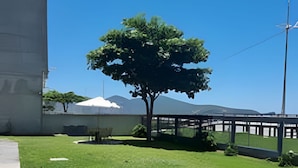 A well-maintained grassy area with a tree, a concrete pathway, and a metal fence. - Apartamento Itapema (Itapema)