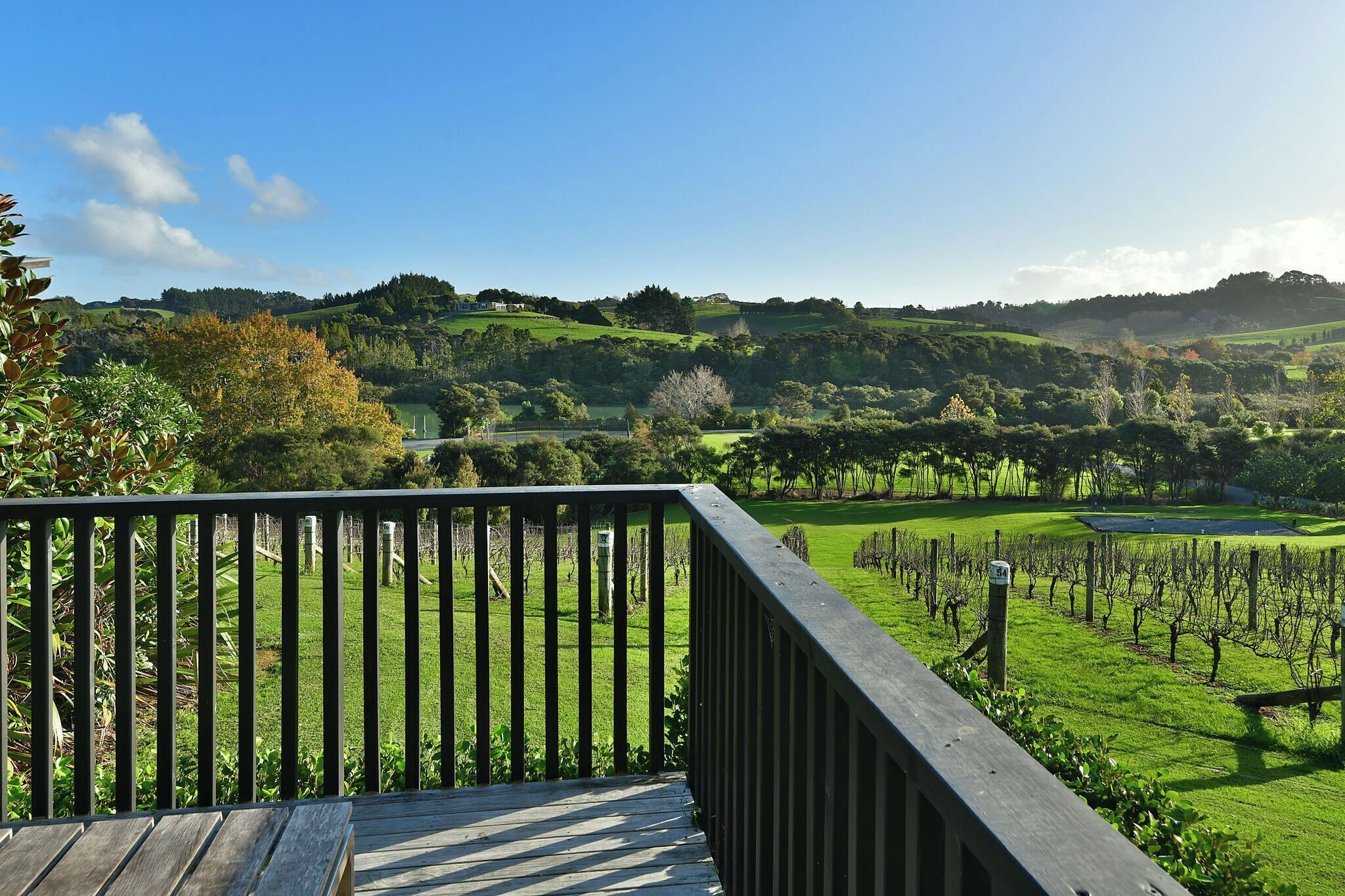 Luxury House, 2 Bedrooms, Garden View | Balcony view