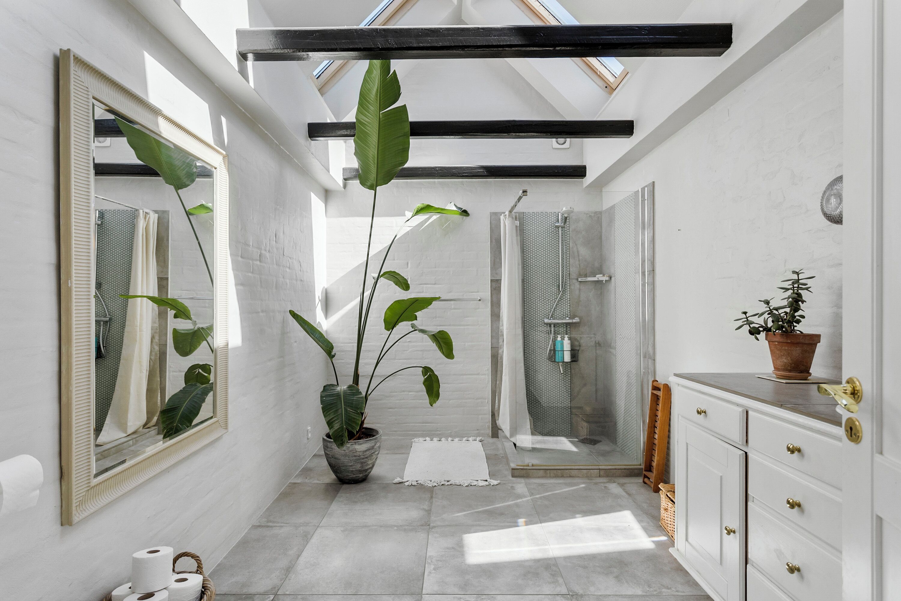 Douche, serviettes fournies, papier toilette