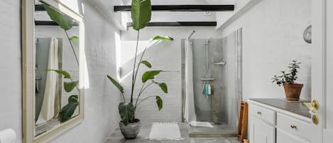 Douche, serviettes fournies, papier toilette