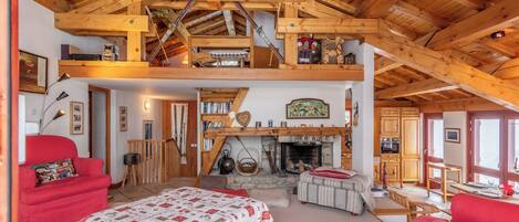 TV, fireplace, DVD player, books