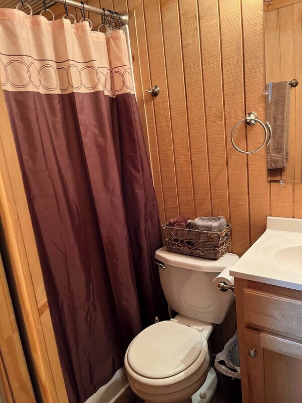 Bathroom - Charming Micro cabin 2 in the heart of the Ozarks (Osceola)