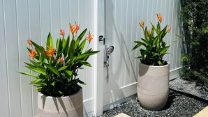 A white fence with a sliding door, two potted plants with orange flowers, and a small tiled area. - Veranera 1 | Relaxing Private Heated Pool at Aguadilla (Aguadilla)