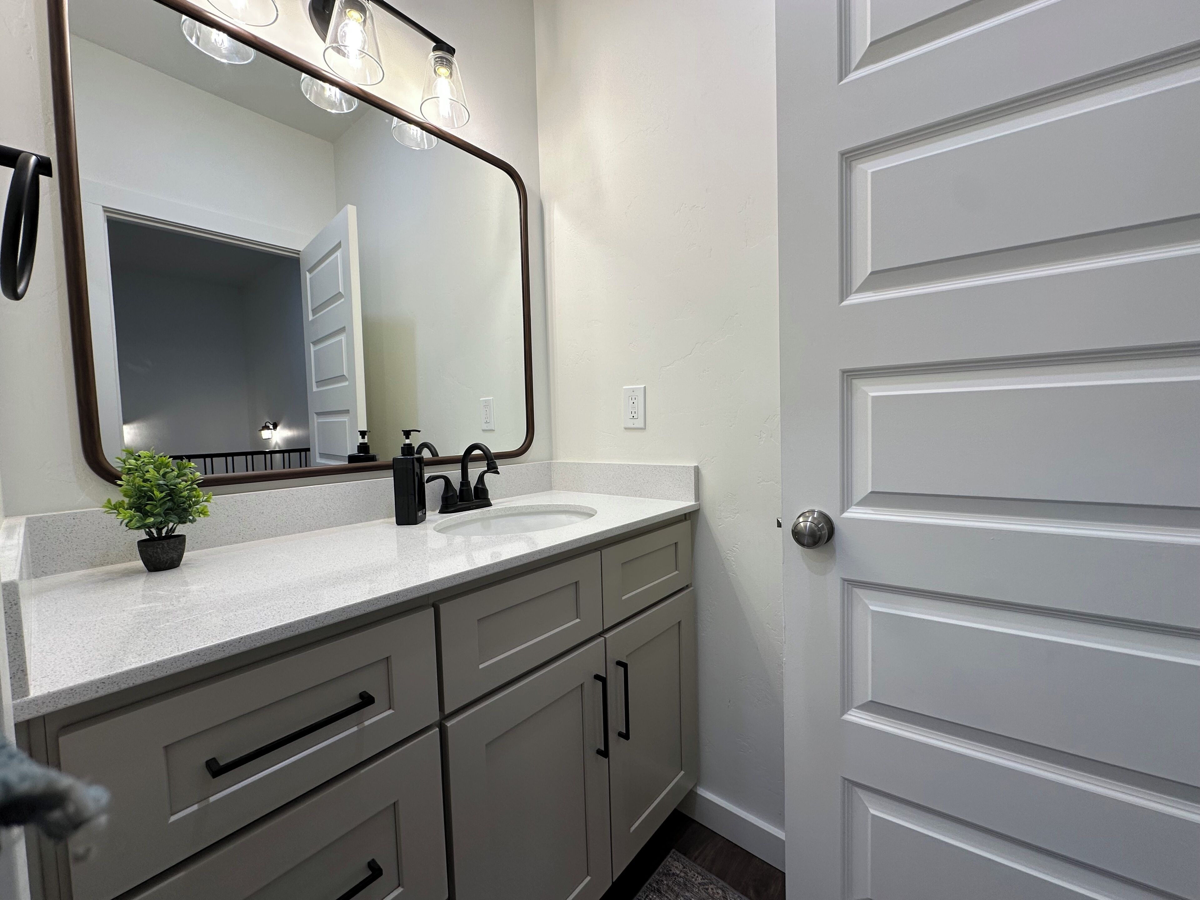 A bathroom with a white sink, a mirror, a potted plant, and a door.