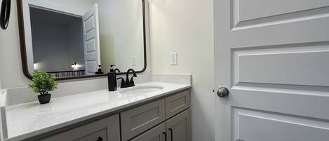 A bathroom with a white sink, a mirror, a potted plant, and a door.