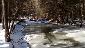A frozen river with trees on both sides.