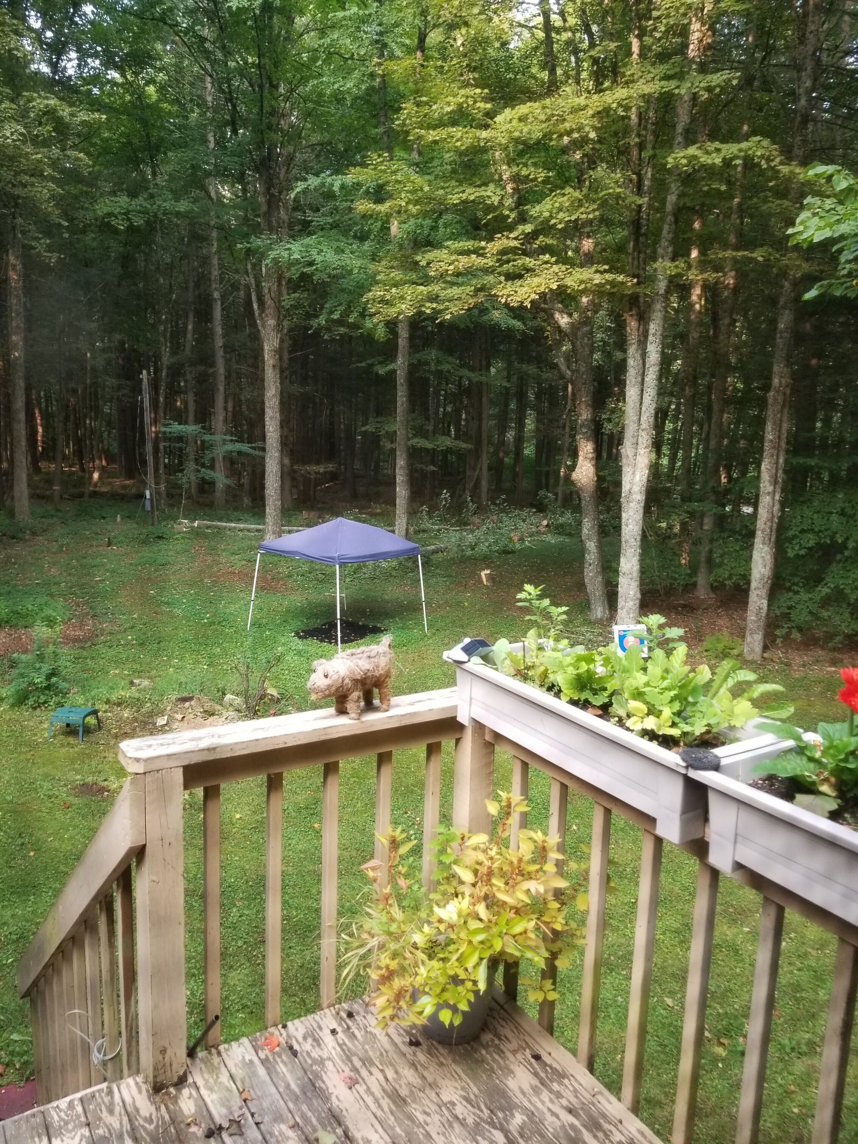 Overnatningsstedets område