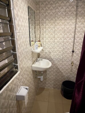 Shower, towels, soap, toilet paper