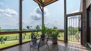Un espace extérieur abrité doté d’un plancher en bois, de deux chaises en métal et de plantes en pot.