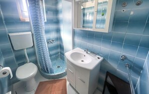 Shower, hair dryer