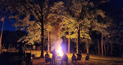 Cozy micro cabin near Truman Lakes in the Ozarks