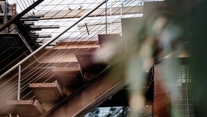 Un intérieur moderne avec un escalier, une porte en verre et un arbre aux feuilles rouges.