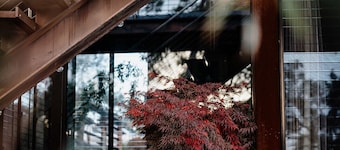 Grand Designs "Eco Bush Retreat"