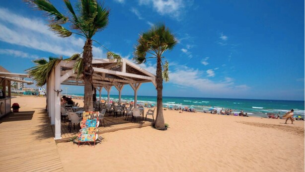 A beach with a wooden deck, palm trees, and a covered seating area with tables and chairs. - Tranquil 2-bedroom apartment with AC in La Mata (La Mata)