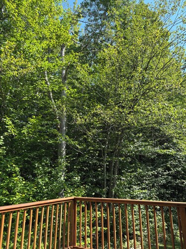 Cozy cottage in Winhall