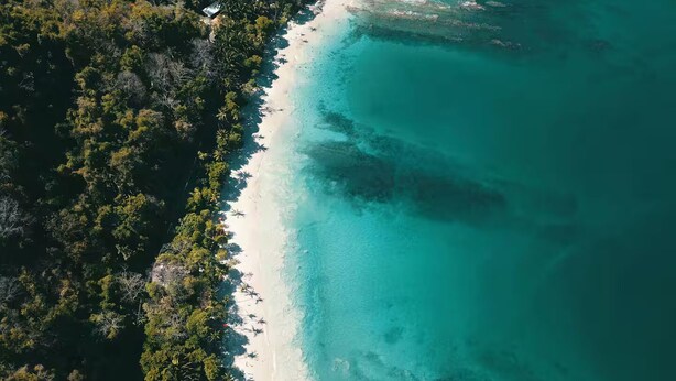 Vista aérea de una playa con aguas turquesas cristalinas y densa vegetación tropical en un lateral.