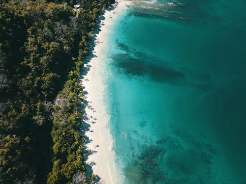 Ocean view and walk to beach