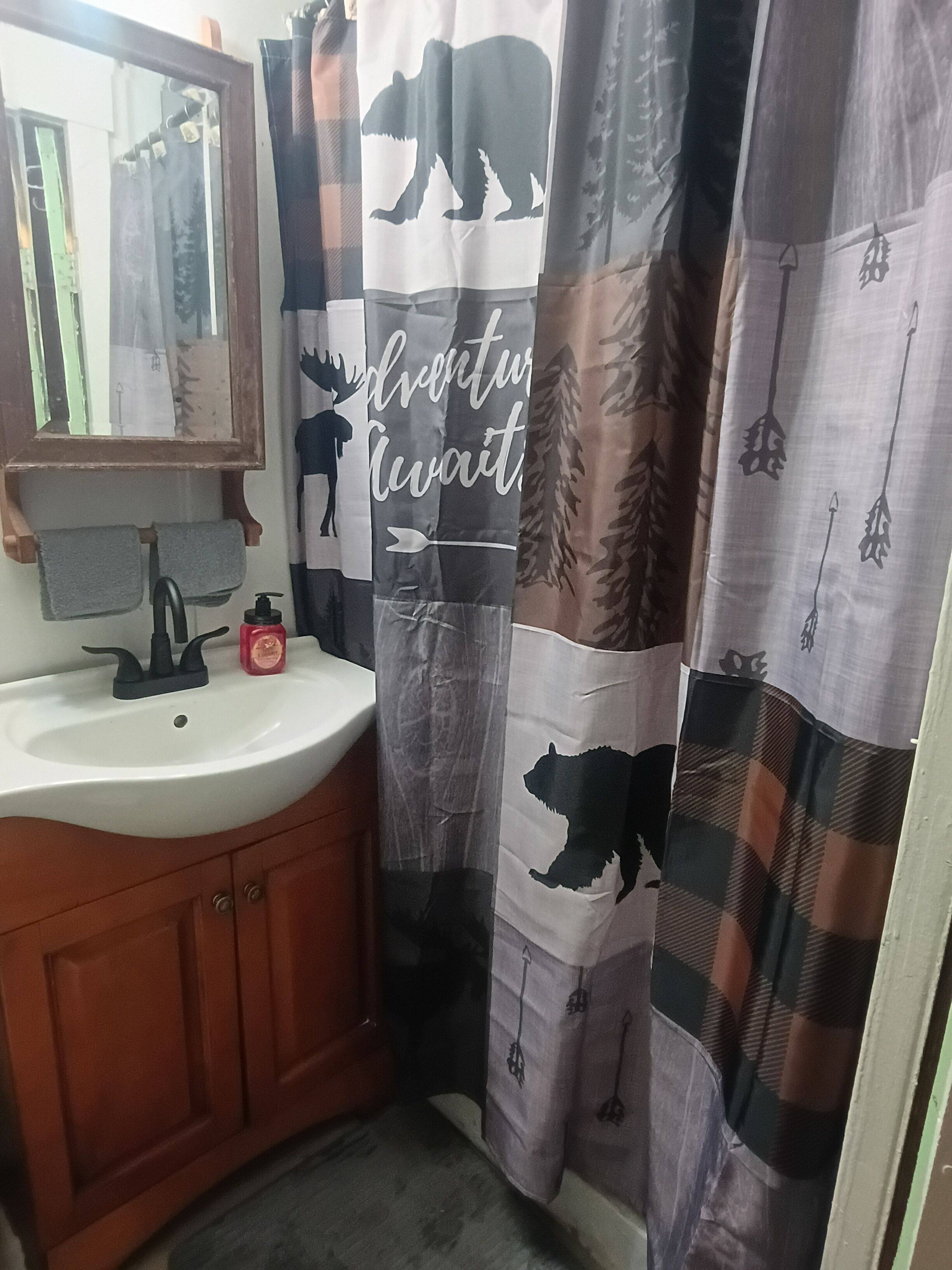 Regadera, secadora de cabello, toallas, jabón 