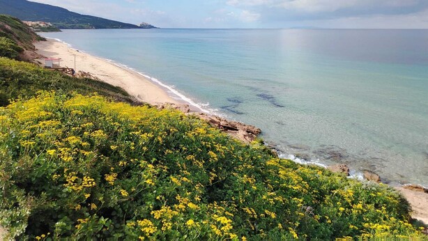 Eine Küstenlandschaft mit sandigem Strand, klarem, blauem Meer und grüner Vegetation.