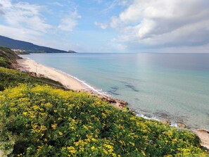 A coastal landscape with a sandy beach, clear blue sea, and green vegetation. - Apartment in a villa 30 meters from the sea, with breathtaking views (Maragnanu)