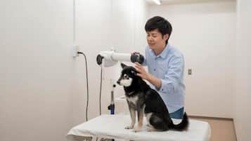 Sala de exames veterinários com um cão em cima da mesa, um profissional e uma luz veterinária.