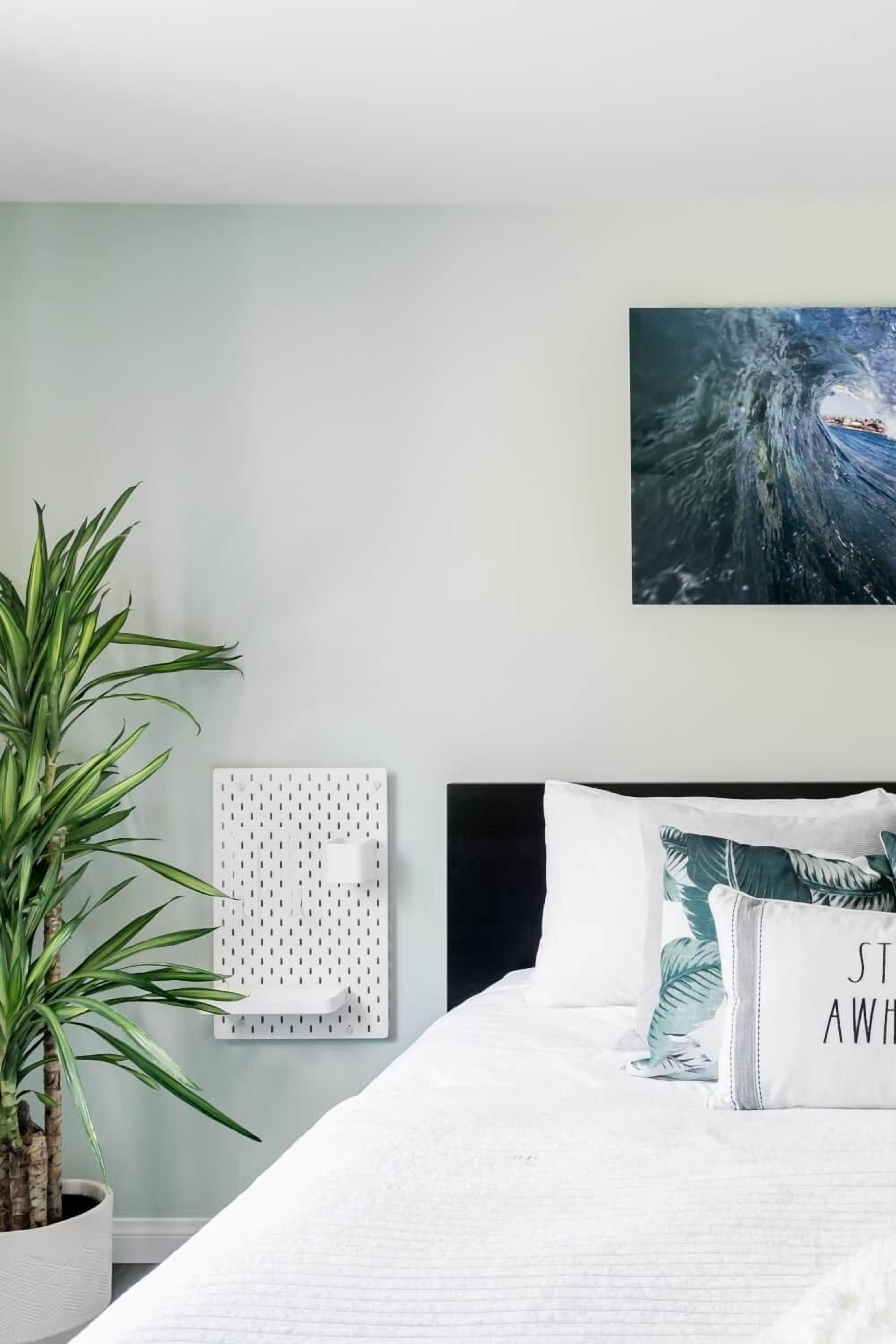 contemporary decor and local art