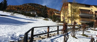 Amazing 1-bedroom apartment in Samedan