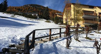 Amazing 1-bedroom apartment in Samedan