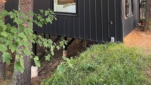 A modern cabin with a large window, surrounded by trees and greenery.