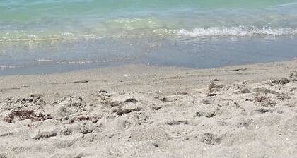 A gem with a view! 3-bedroom house on the bay