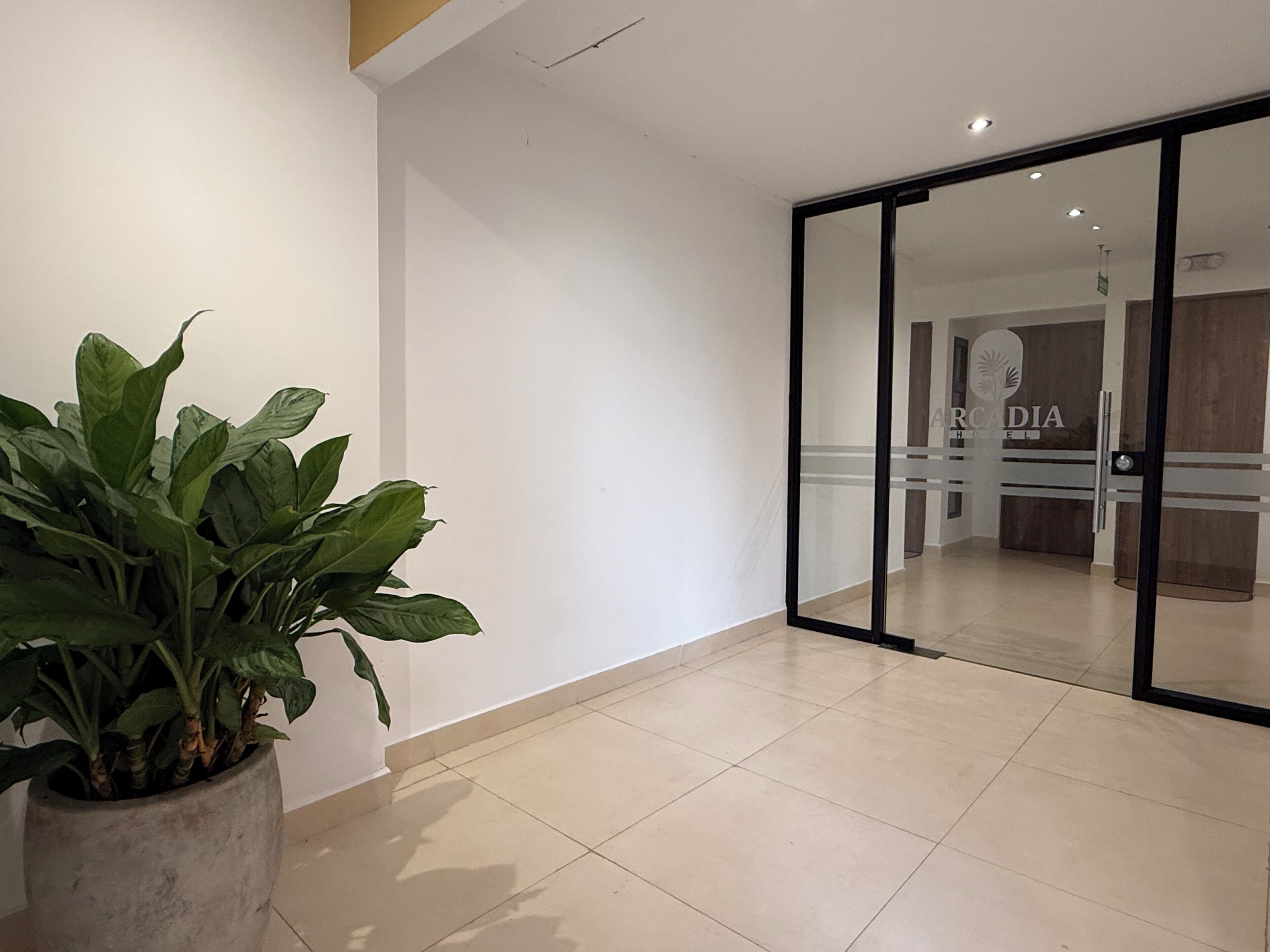 A modern interior with a potted plant, a sliding glass door leading to a room, and a visible sign with the name 'ARCADIA'.