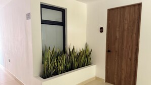 Un pasillo con pared blanca, puerta de madera y una ventana con planta.