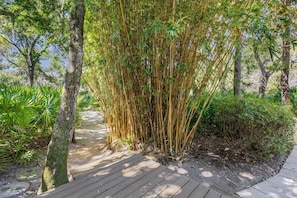 Terrain de l’hébergement 
