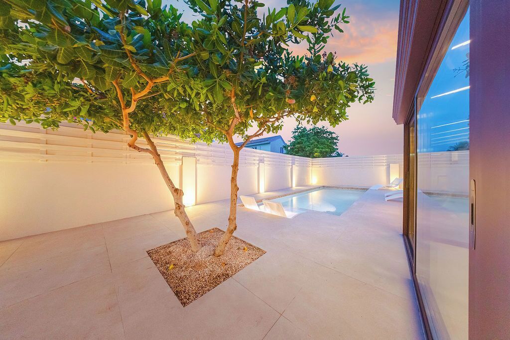 A modern indoor pool area with a tree and a glass wall.