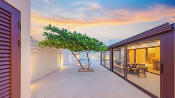 A modern building with a glass facade, a tree in the center, and a sunset sky.
