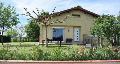 Chez Cathy - LISLE SUR TARN