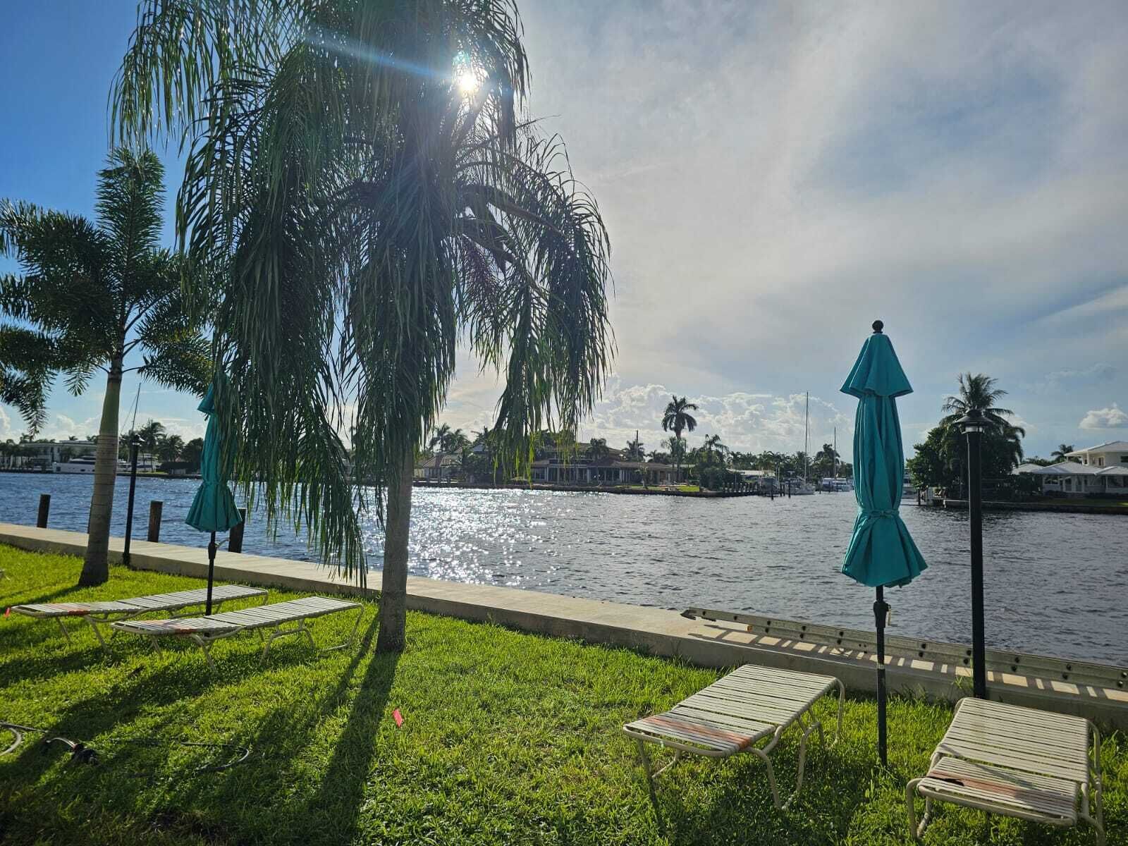 A waterfront park with grass, benches, and palm trees.