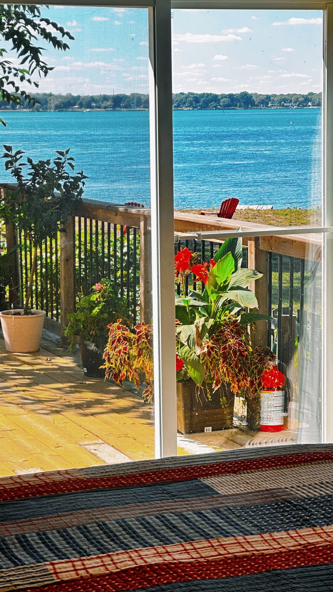 Imagen de perfil del propietario o de la propietaria