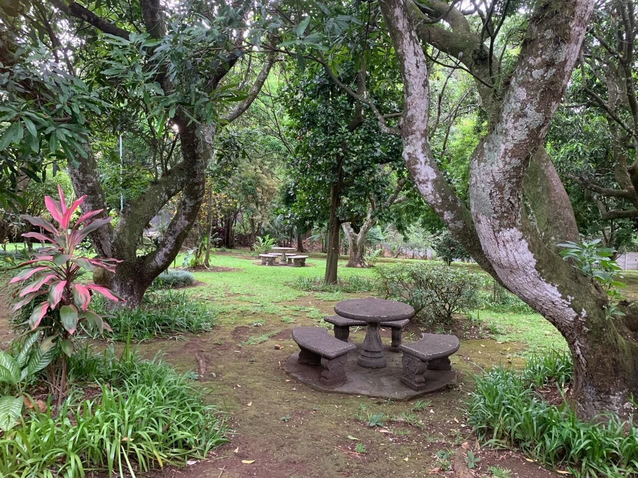 A stone outdoor table and bench in a lush garden setting.
