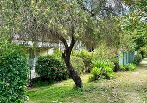 Property grounds - Affordable Chermside Home near Hospital & Westfield (Chermside)