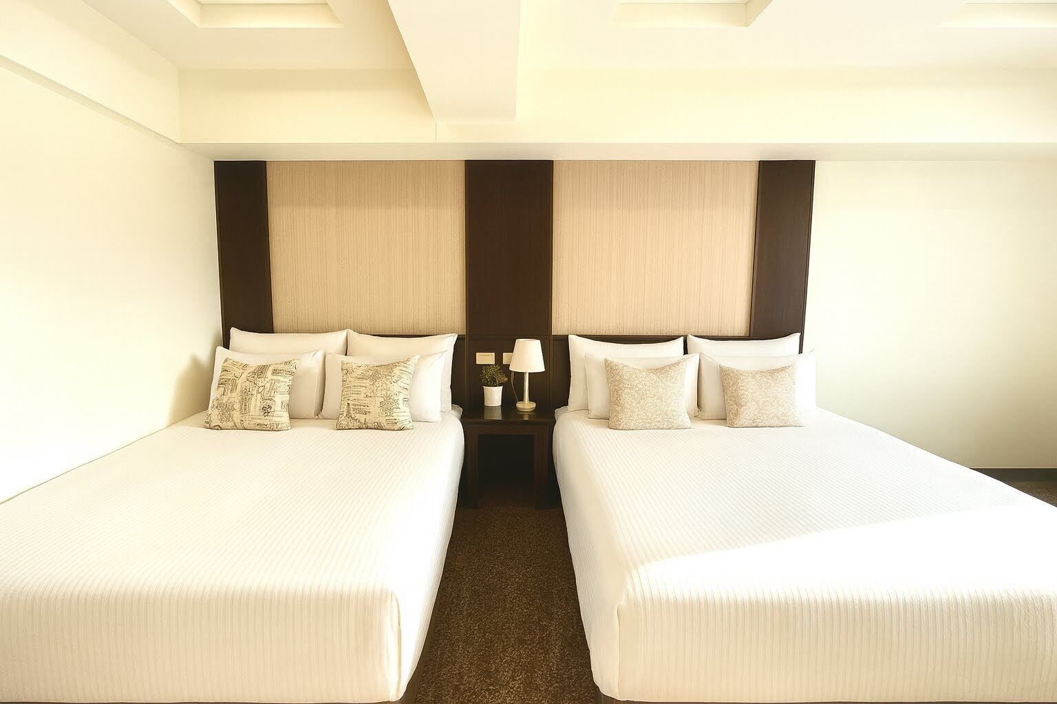 Dundyner, skrivebord, blendingsgardiner og wi-fi (inkludert)