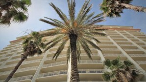 Un hôtel de grande hauteur doté de nombreux balcons et bordé de palmiers.