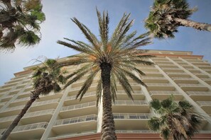 Un hotel de varios pisos con una palmera en primer plano y balcones en cada planta.