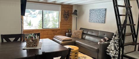 Smart TV, fireplace, video games, DVD player