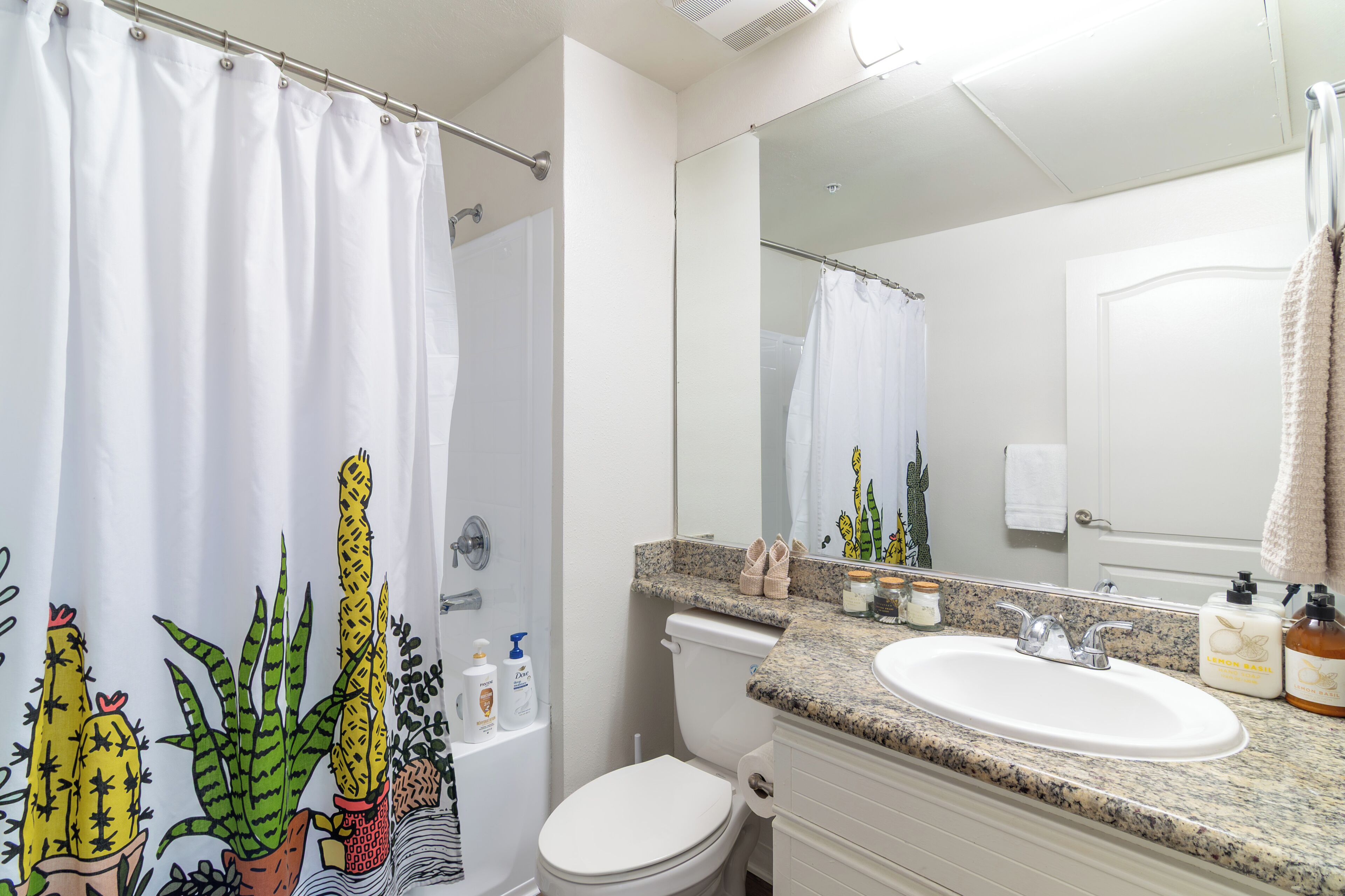 Hair dryer, towels, soap, shampoo
