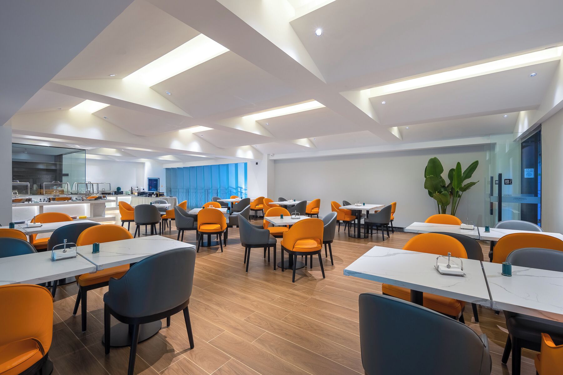 Una moderna sala da pranzo con diversi tavoli e sedie, una cucina sullo sfondo e una pianta grande.